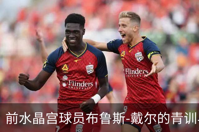 前水晶宫球员布鲁斯-戴尔的青训与信仰之路